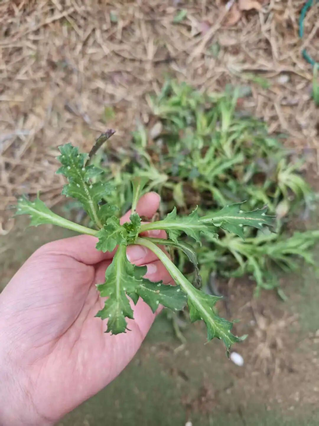 微信图片_20260306144836_111_40.png 微信图片_20260306144836_111_40.png