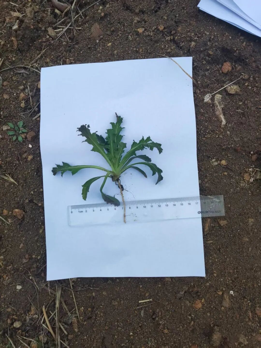 微信图片_20260306144851_112_40.png 微信图片_20260306144851_112_40.png